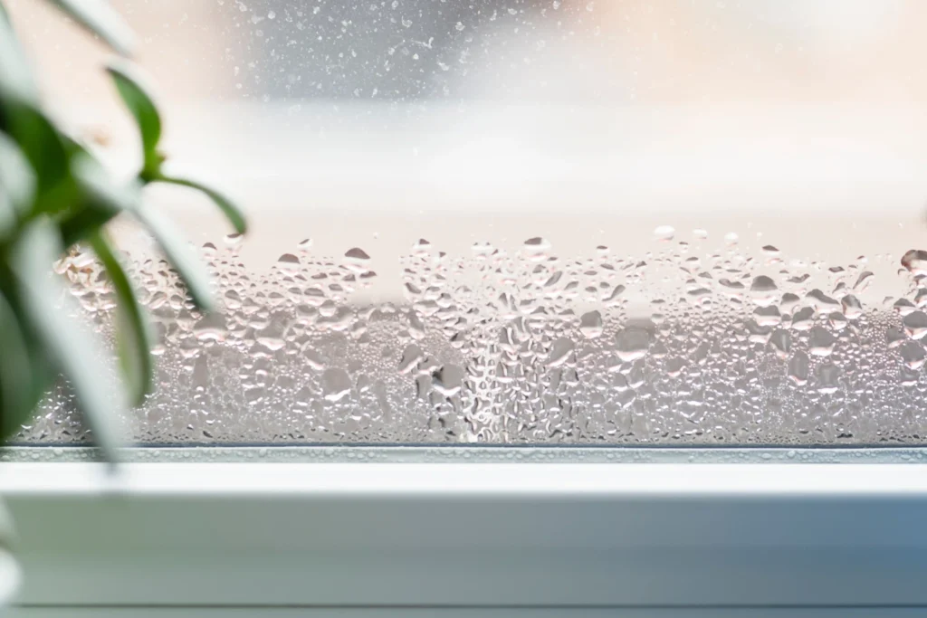 Condensation dans la véranda : que faire ?